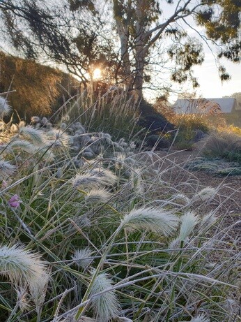 Structure in the winter garden Structure in the winter garden
