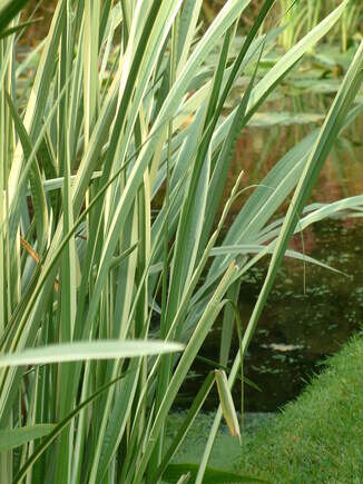 Marginal Maintenance Marginal Maintenance