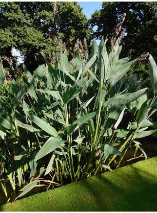 Marginal Maintenance Marginal Maintenance