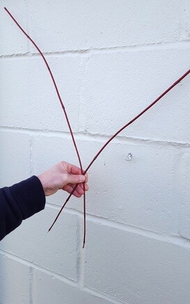 Make a dogwood heart Make a dogwood heart