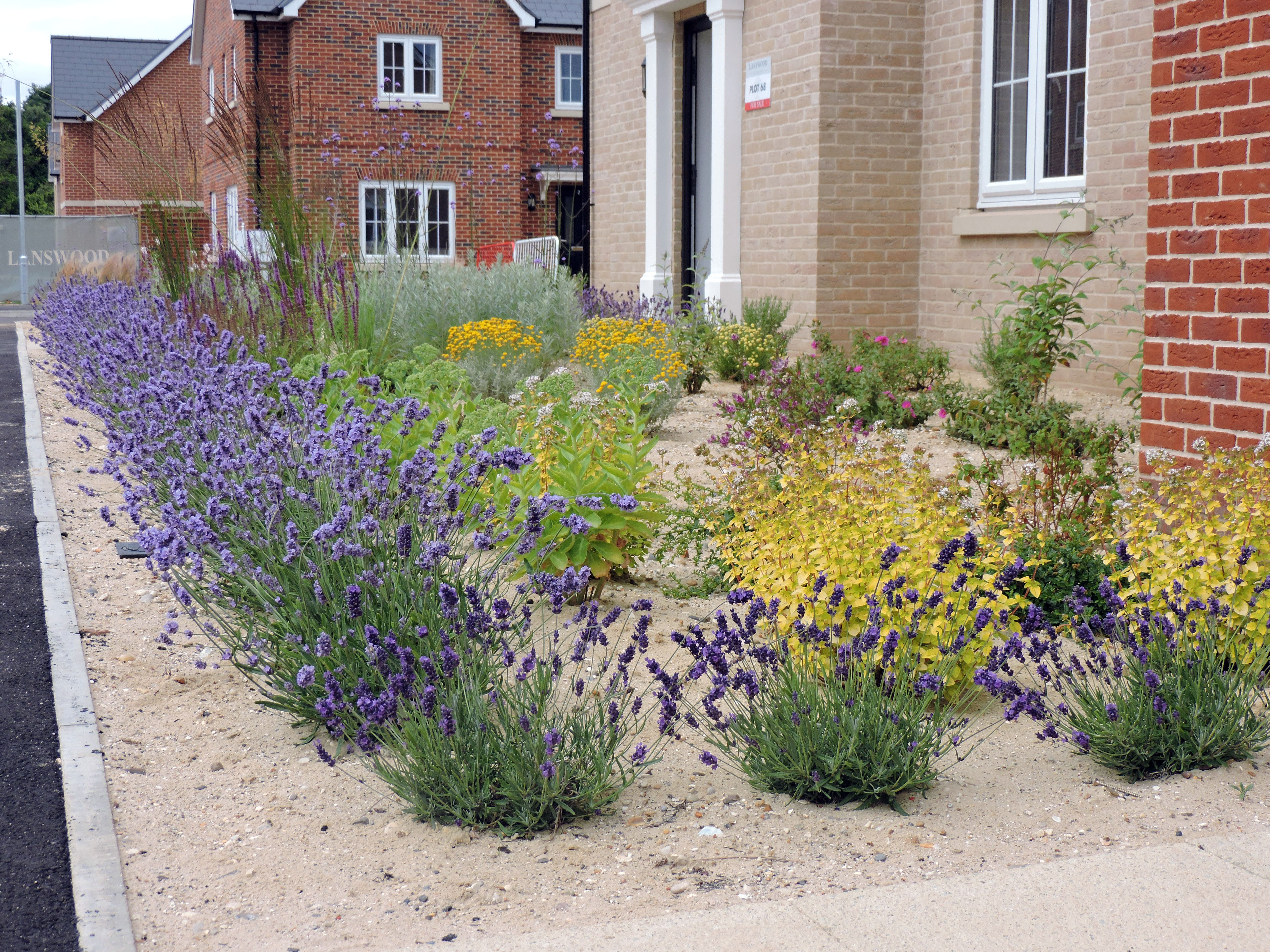 Planting at Chattowood Housing Development Planting at Chattowood Housing Development