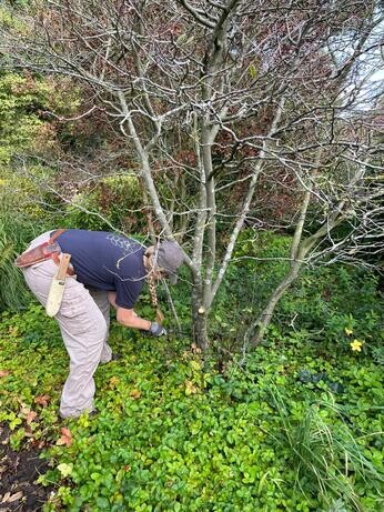 Early autumn with the garden team