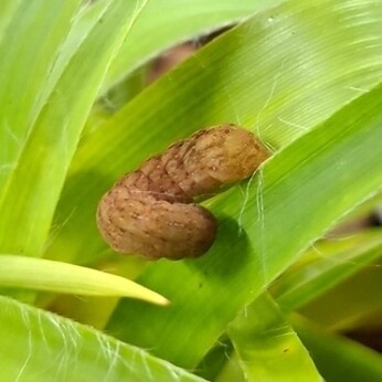 Wild Words from the Ground - December/January Wild Words from the Ground - December/January