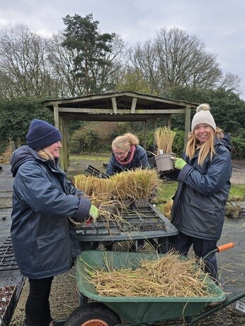 Weekly catch up with garden & propagation Weekly catch up with garden & propagation