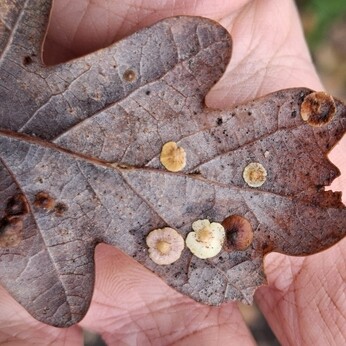 Wild Words from the Ground - December/January Wild Words from the Ground - December/January