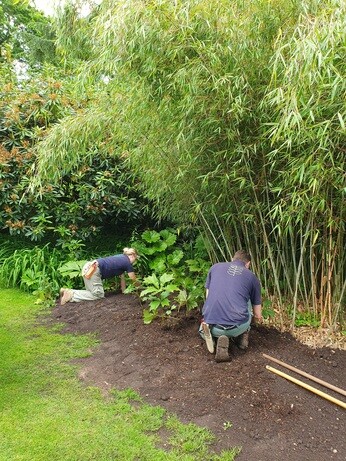 Early June with the garden team