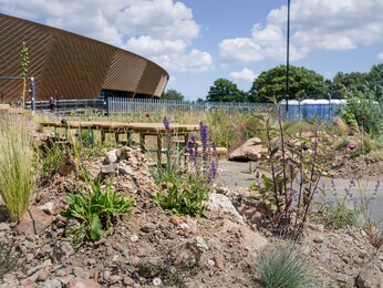 Colchester's Meanwhile Garden