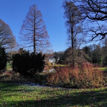 Apprentice Hannah- 'My favourite places in the garden'