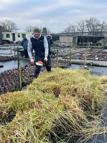 Weekly catch up with garden & propagation Weekly catch up with garden & propagation