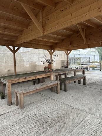 Weekly catch up with garden & propagation Weekly catch up with garden & propagation