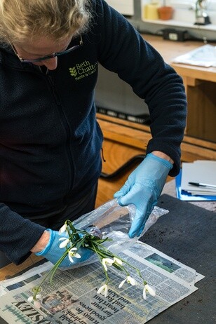 Weekly catch up with garden & propagation Weekly catch up with garden & propagation