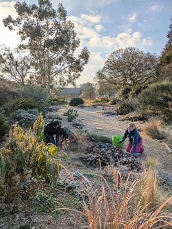 February news from the garden and propagation