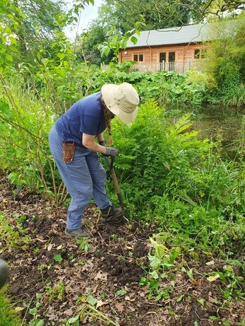 Early June with the garden team