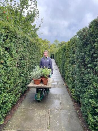 Early autumn with the garden team