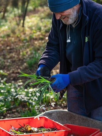 February news from the garden and propagation