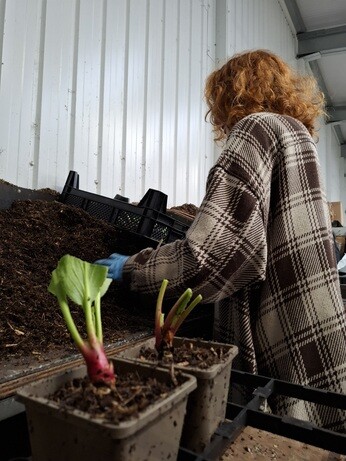 Behind the scenes in propagation- June