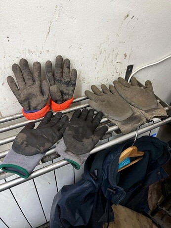 Weekly catch up with garden & propagation Weekly catch up with garden & propagation