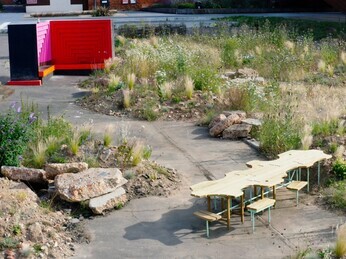 Planting on the Albert roundabout