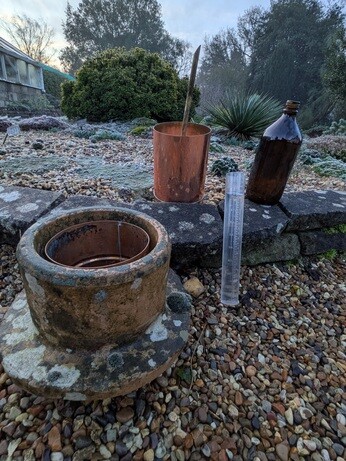 Weekly catch up with garden & propagation Weekly catch up with garden & propagation