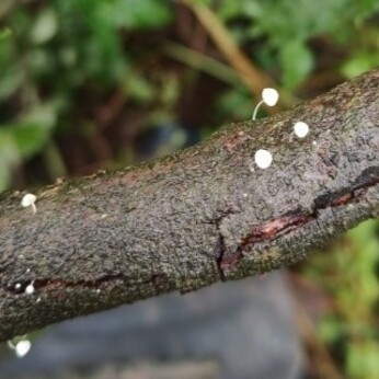 Wild Words from the Ground - December/January Wild Words from the Ground - December/January