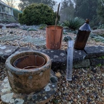 Wild Words from the Ground - December/January Wild Words from the Ground - December/January