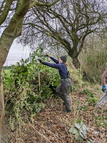 January news from the garden and propagation