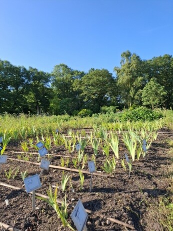 Behind the scenes in propagation- June