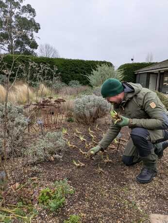 February news from the garden and propagation