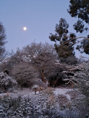 Wild Words from the Ground - December/January Wild Words from the Ground - December/January