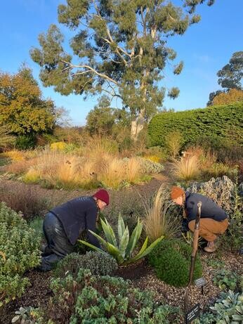 A look back at 2024 with the garden team 