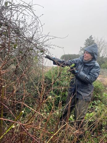 January news from the garden and propagation