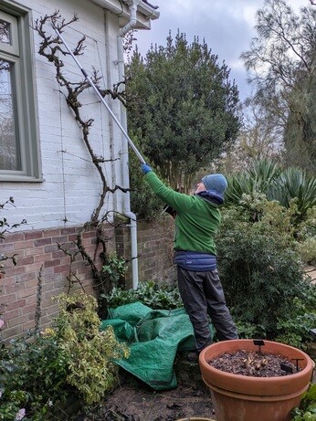 Weekly catch up with garden & propagation Weekly catch up with garden & propagation