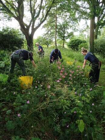 A look back at 2024 with the garden team 