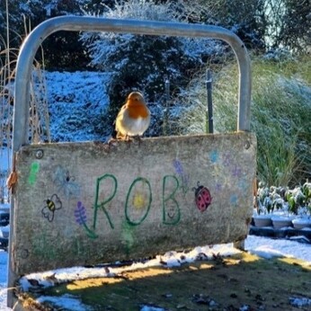 Wild Words from the Ground - December/January Wild Words from the Ground - December/January