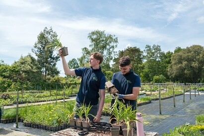 Plants from Beth's Garden to yours!