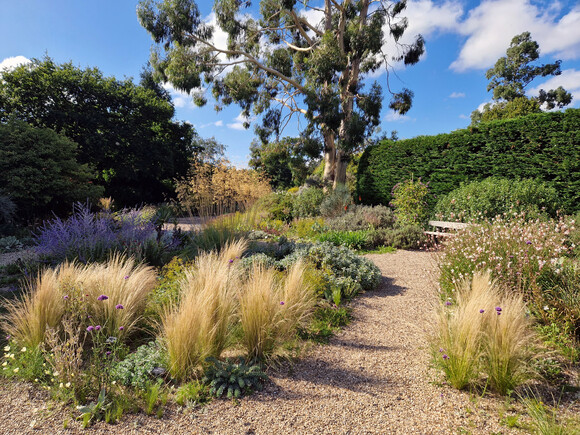 Spring cleaning grasses