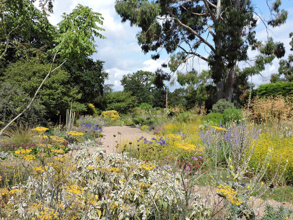 Gravel Garden Creation and Maintenance