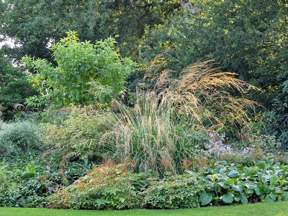 Spring cleaning grasses