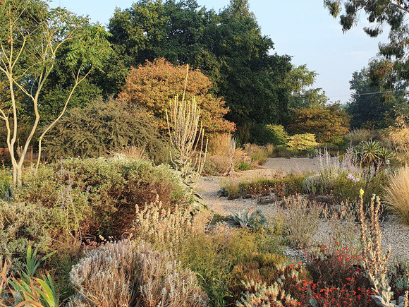 Gravel Garden Creation and Maintenance