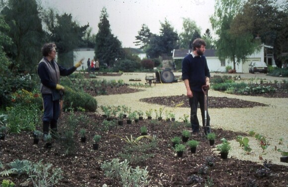 Gravel Garden Creation and Maintenance