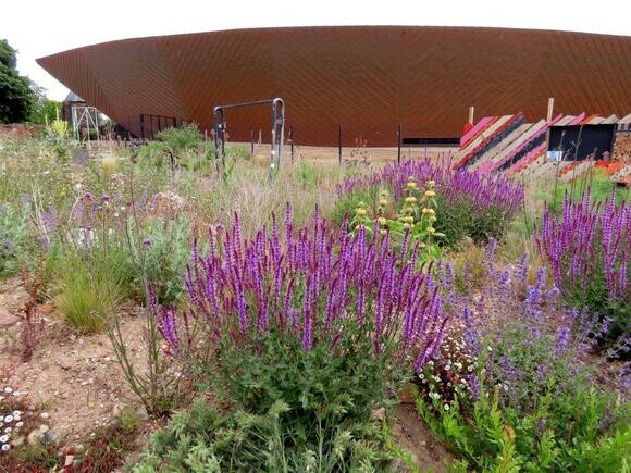 Wildlife at the heart of the City: the Beth Chatto Meanwhile Garden Wildlife at the heart of the City: the Beth Chatto Meanwhile Garden
