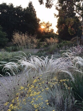 Gravel Garden Creation and Maintenance