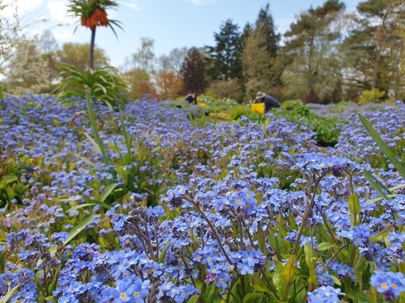 Garden Tales  Stories of Spring