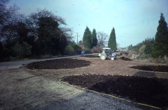 Gravel Garden Creation and Maintenance