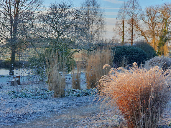 Spring cleaning grasses