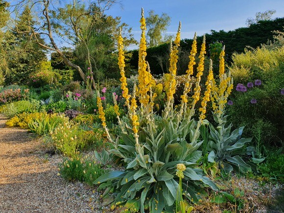 Gravel Garden Creation and Maintenance