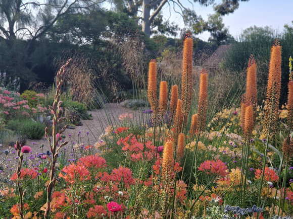 Gravel Garden Creation and Maintenance