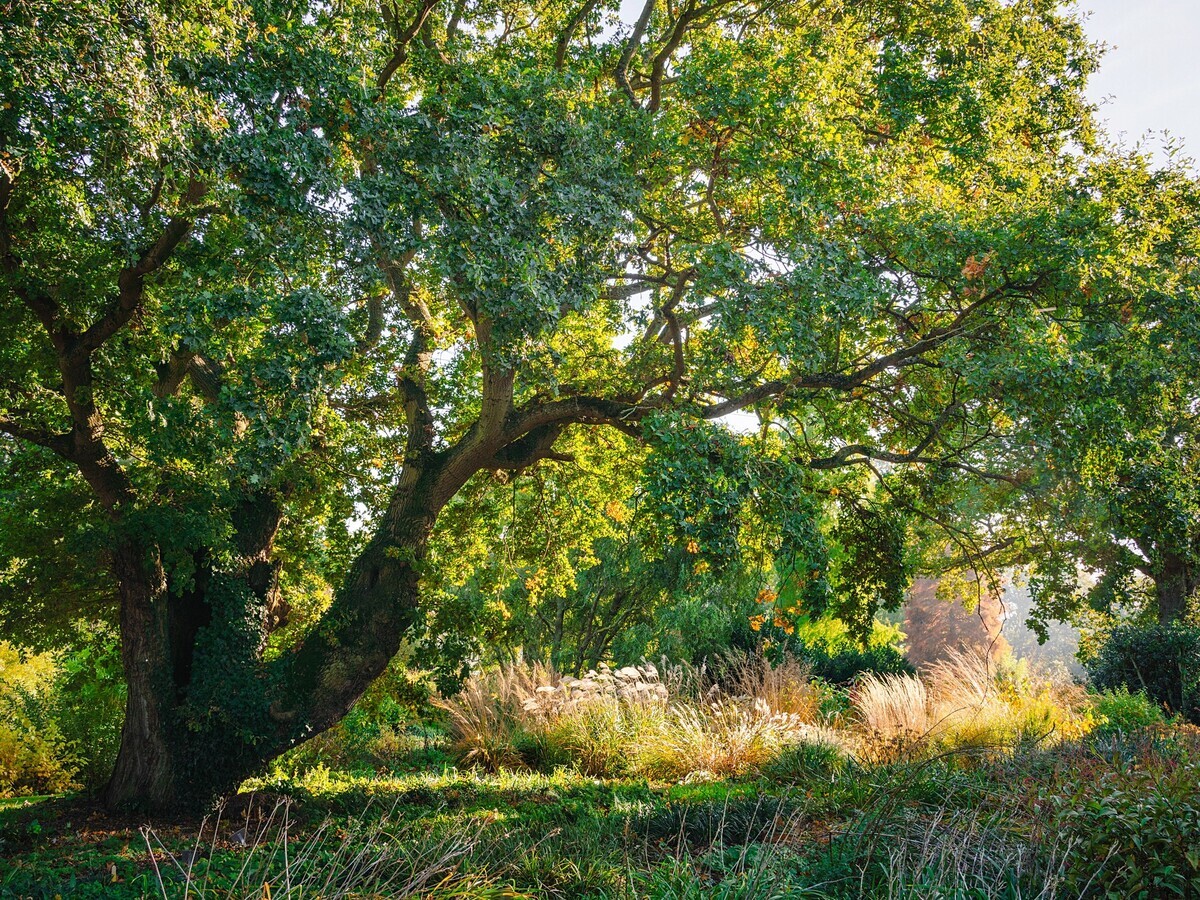 Early autumn with the garden team