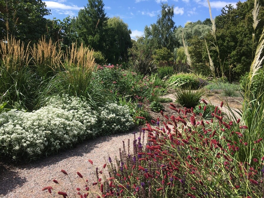 Reservoir Garden