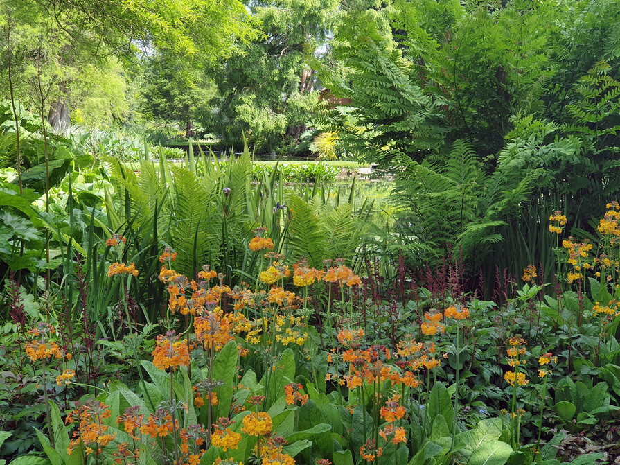 Water Garden